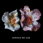 JAR JEWELS